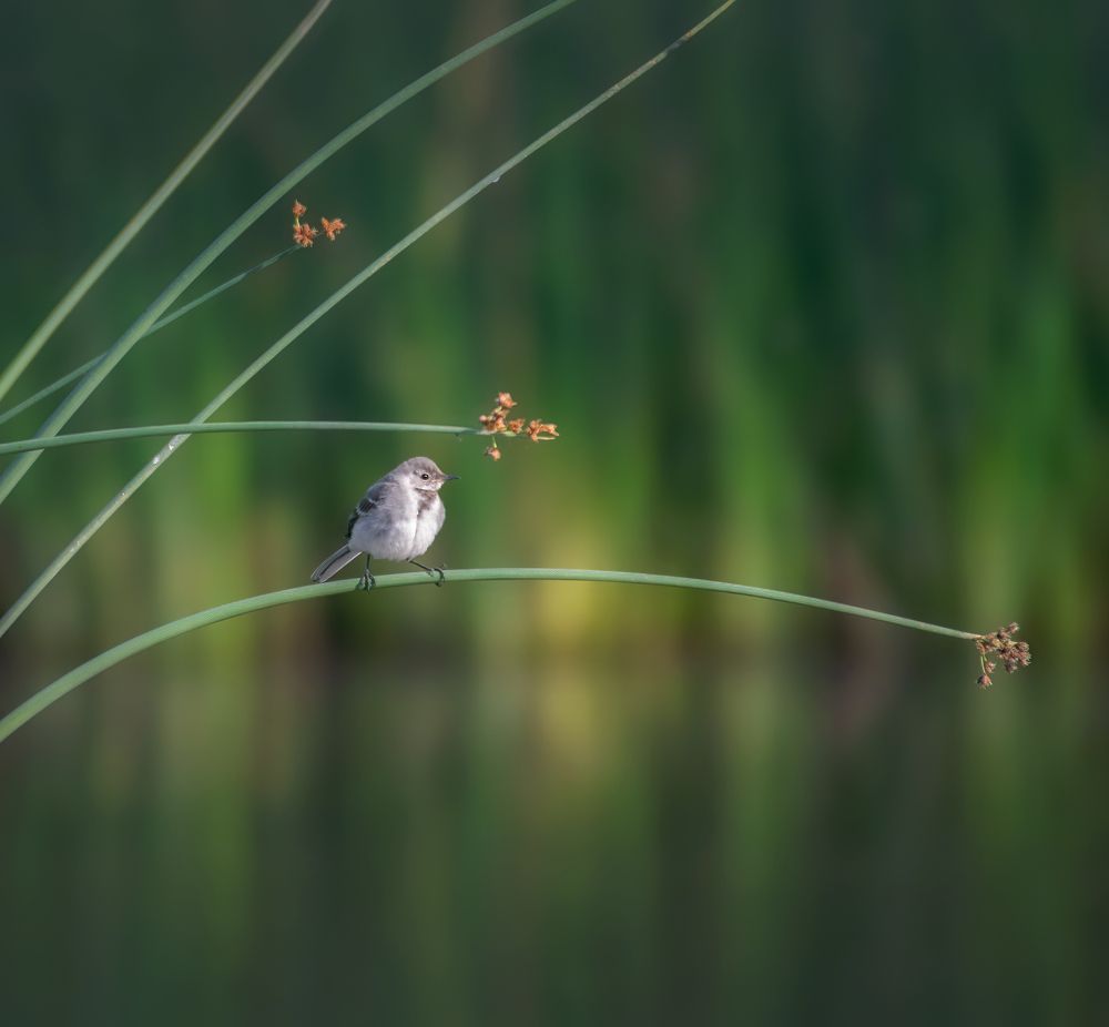 Photograph by Vjacheslav Simanovich