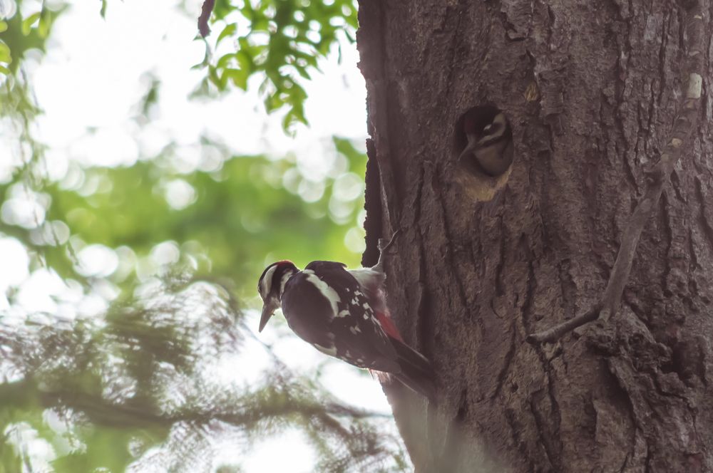 Photograph by Евгений Кузьмин