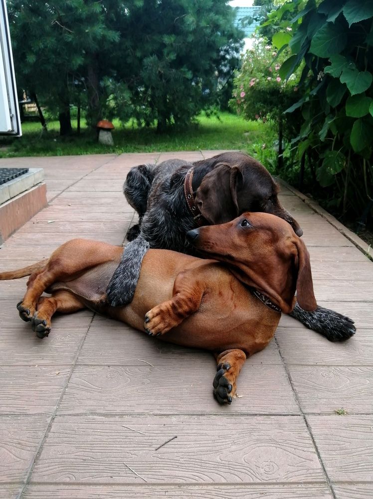 Photograph by Светлана Веселовская