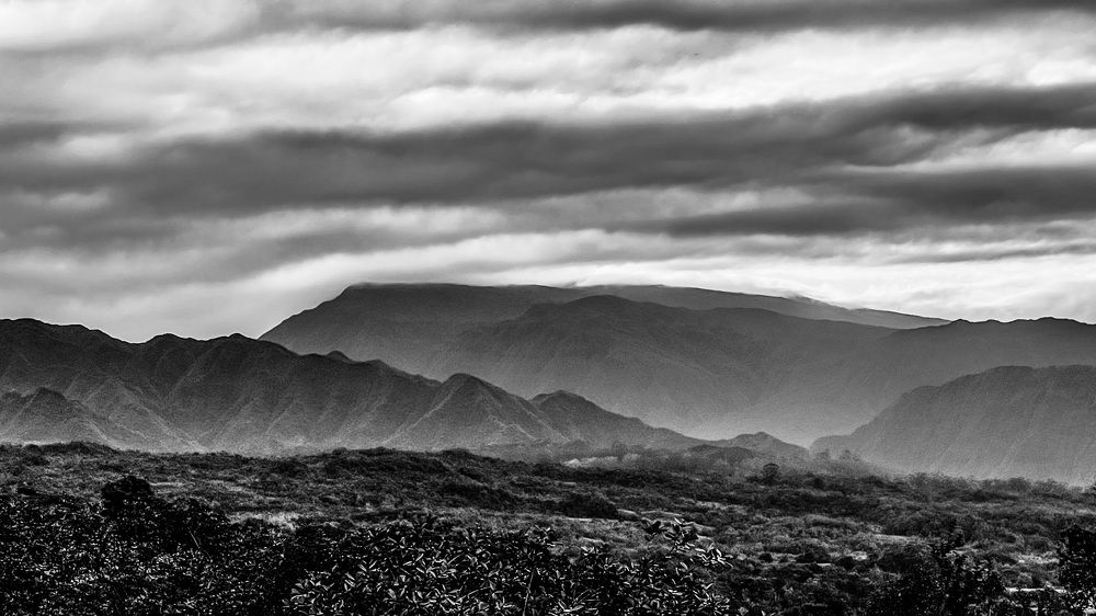 Photograph by Christine ECHEVET-ADAM de VILLIERS