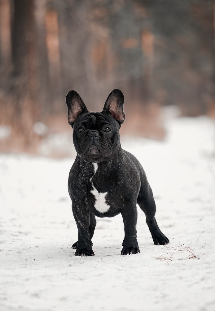 Photograph by Ирина Оболенская