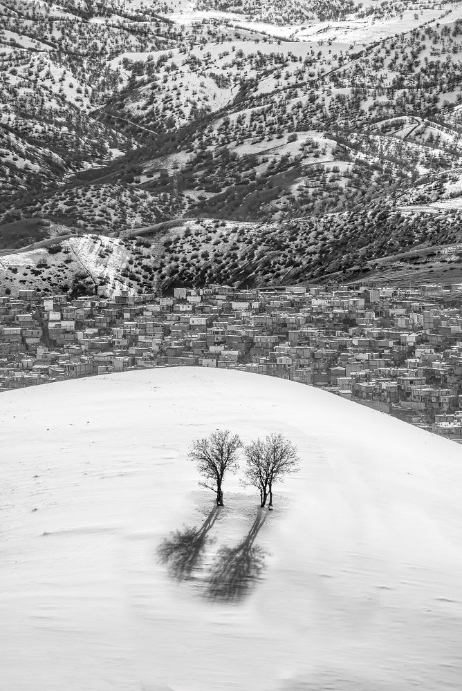 Photograph by Adl Abdolahi