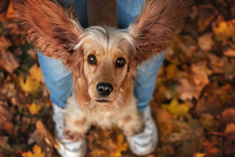 Photograph by Ольга Диденко