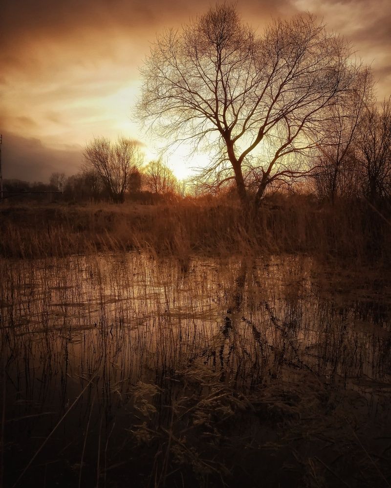 Photograph by Михаил Логвиненко