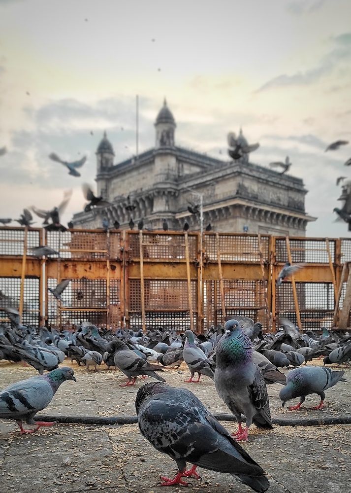 Photograph by Venkatesh Rao