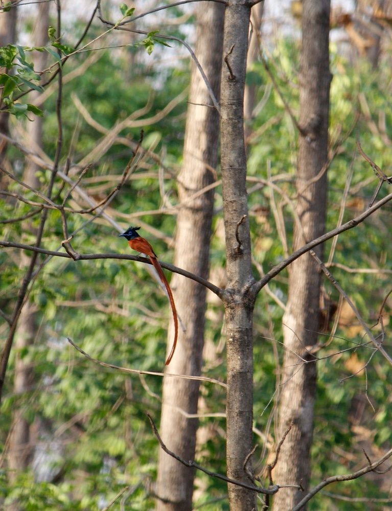 Photograph by Venkatesh Rao