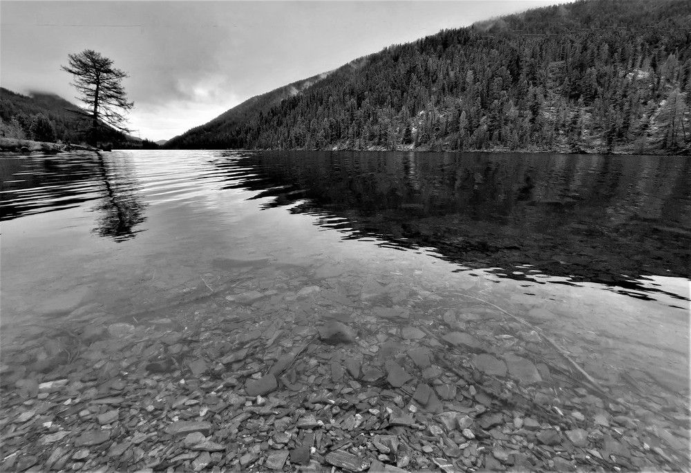 Фотография автора Елена Пикатова