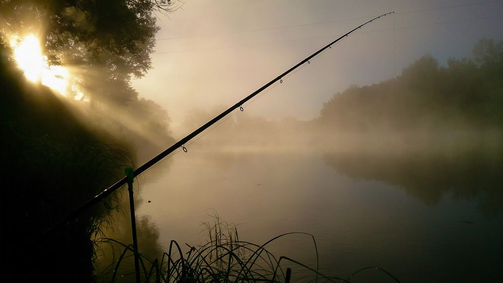 Photograph by Алексеев Саша