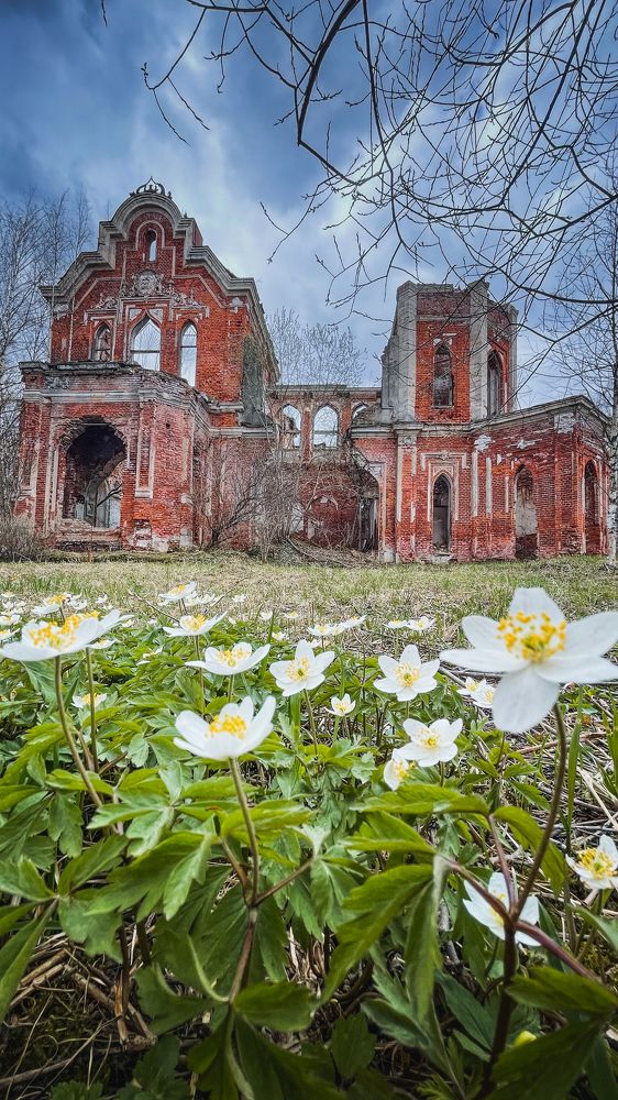 Photograph by Анастасия Юсова