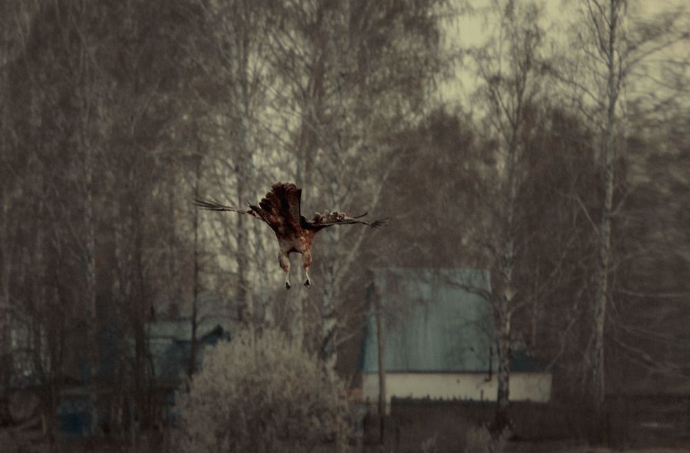 Photograph by Юлия Лушникова