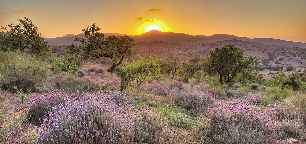 Photograph by Hicham Chraibi