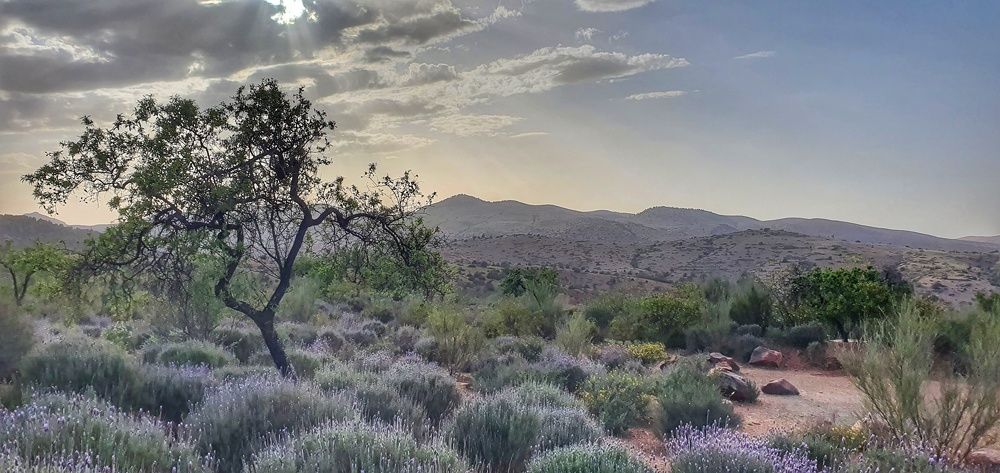 Photograph by Hicham Chraibi