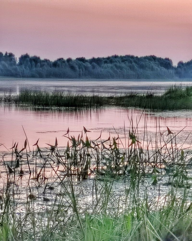 Photograph by Наталья Сафронова