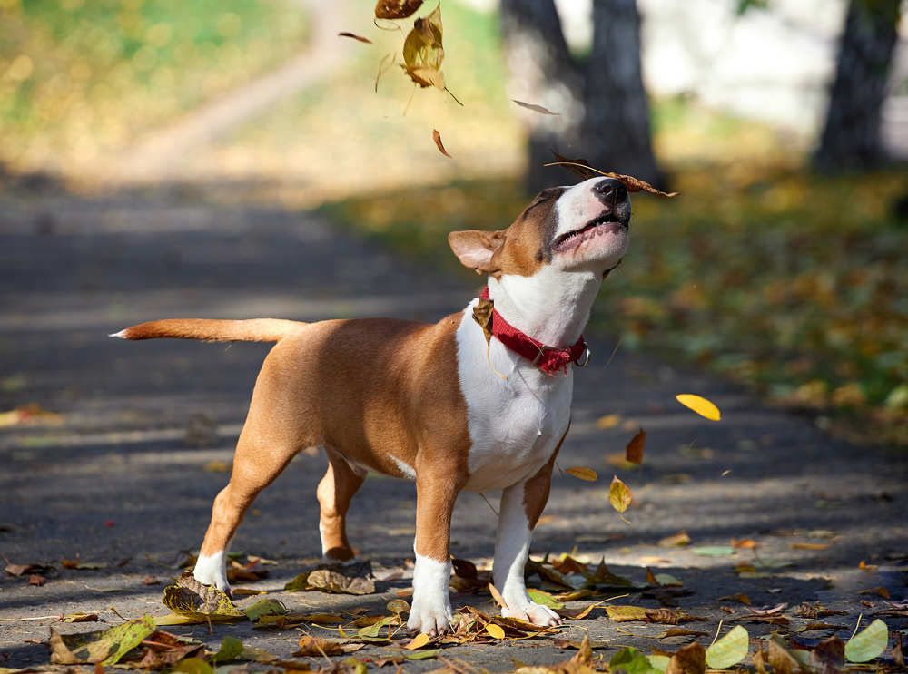 Photograph by Константин Кузнецов