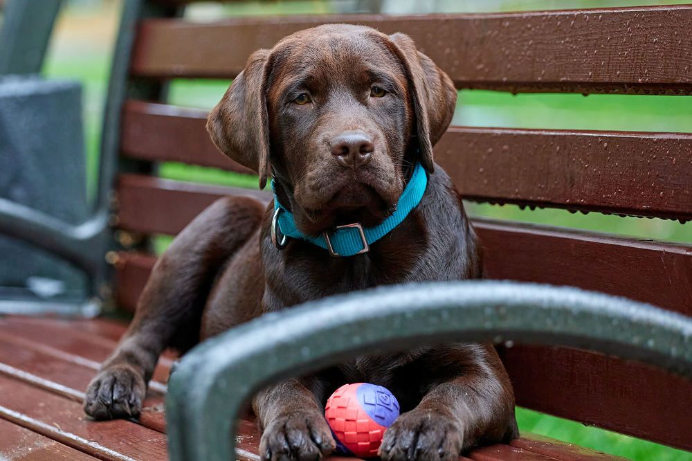 Photograph by Константин Кузнецов