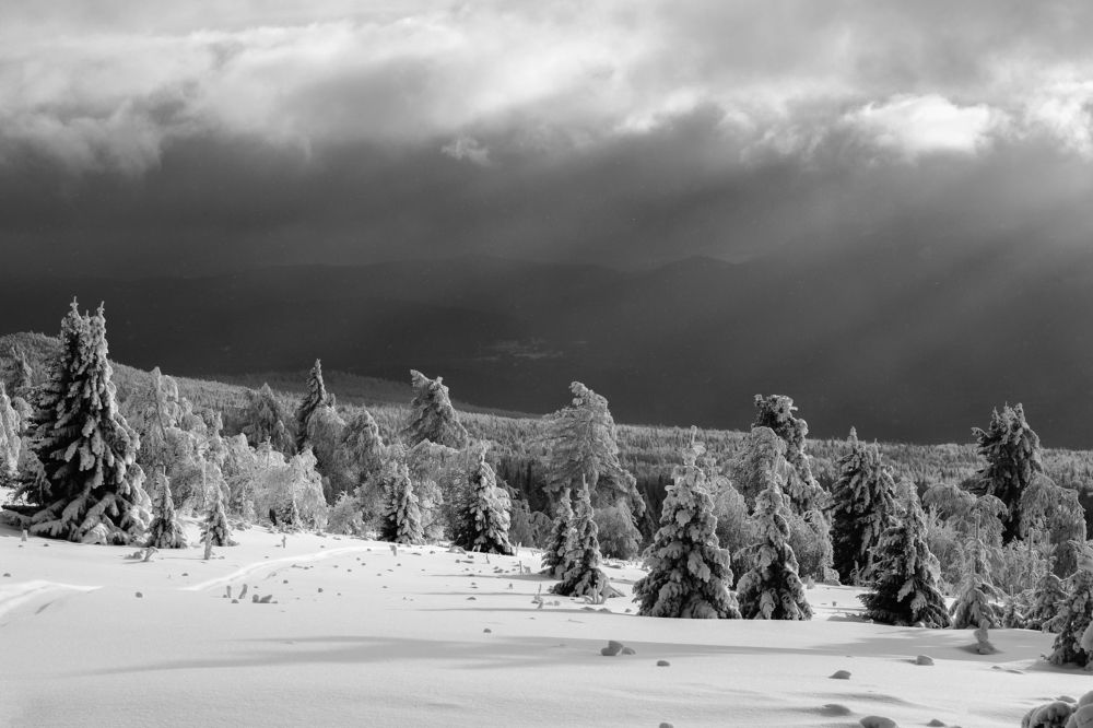 Photograph by Ирина Толокновская