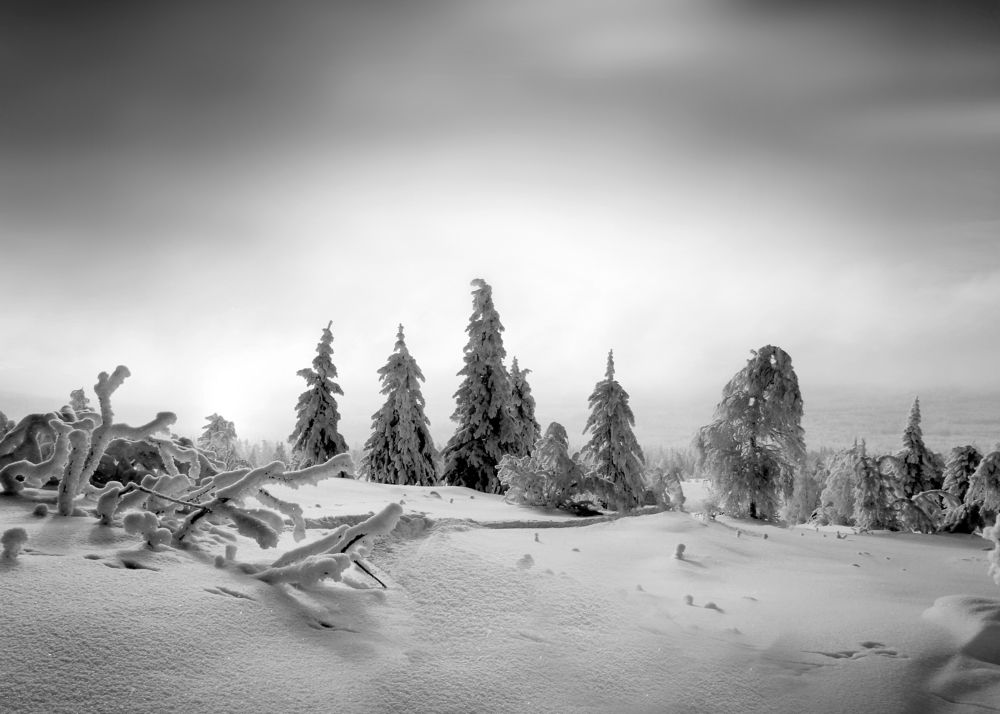 Photograph by Ирина Толокновская