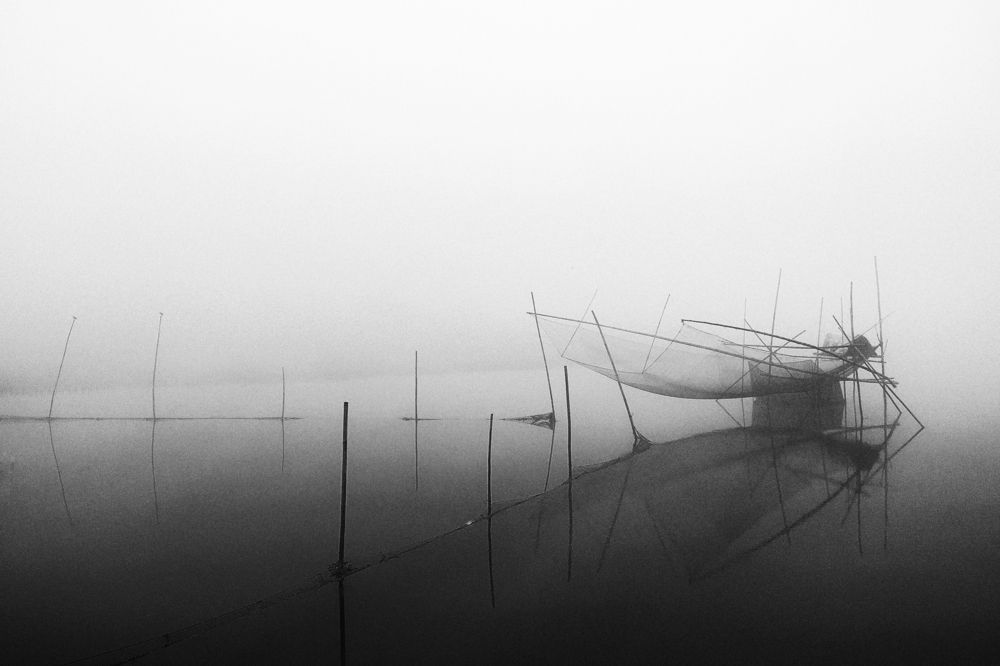 Фотография автора PRADIPTAMOY PAUL