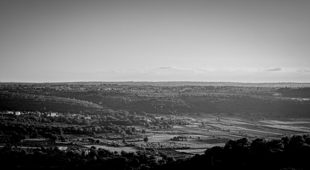 Photograph by Francesco Schiavone