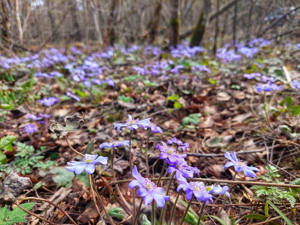 Photograph by Андрей Нурулин