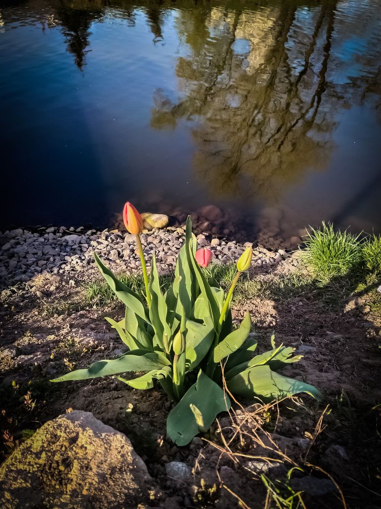 Photograph by Marina