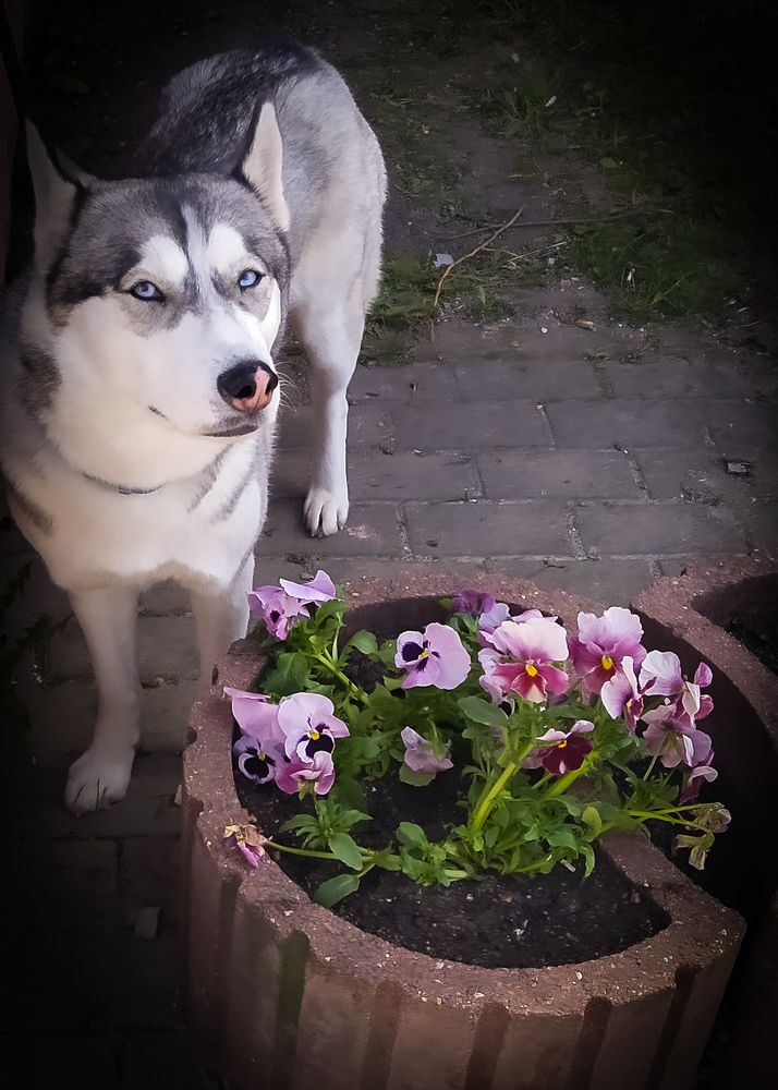 Photograph by Marina