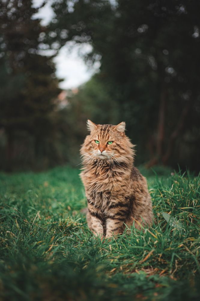 Photograph by Aissa Haffar