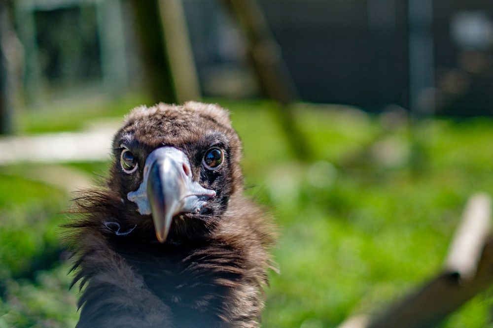 Photograph by Павел Синегубов