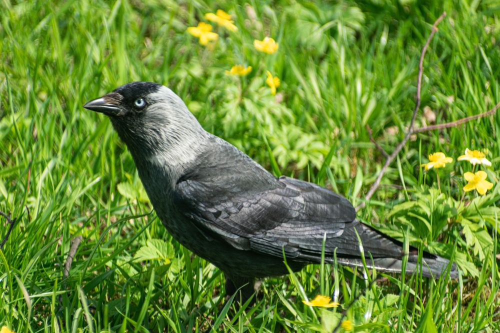 Photograph by Nikita Silyavin