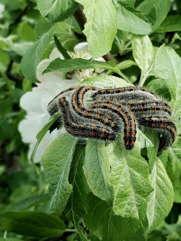 Photograph by Зоя