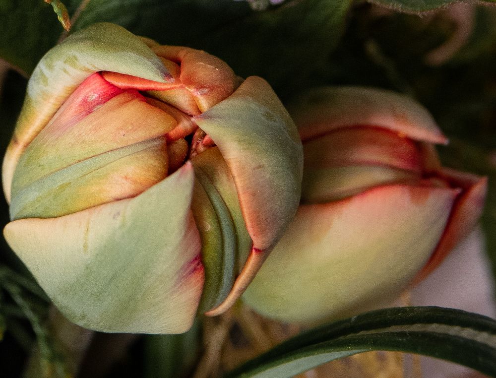 Photograph by Валентина Тагильцева