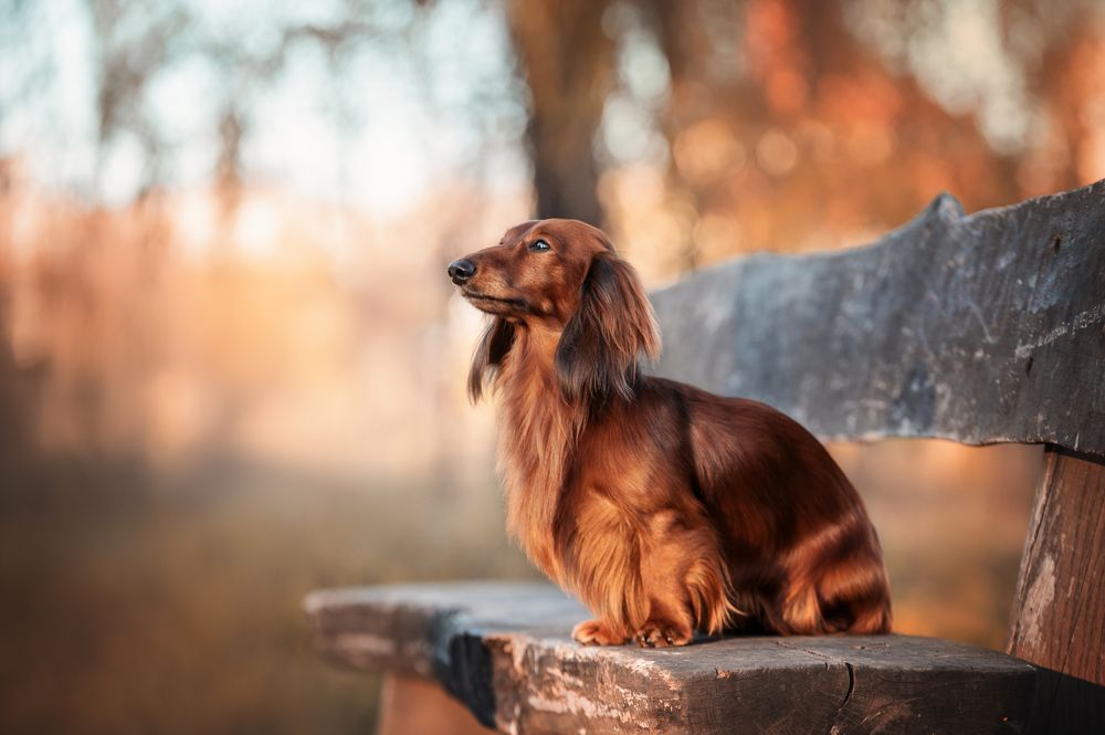 Photograph by Кристина Чижмар