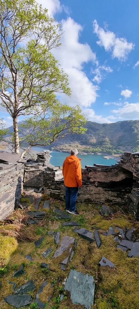 Фотография автора Elvira Cutler