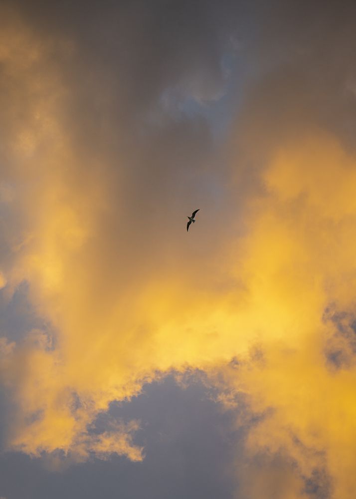 Photograph by Jayakumar MN