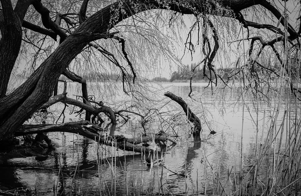 Photograph by Анна