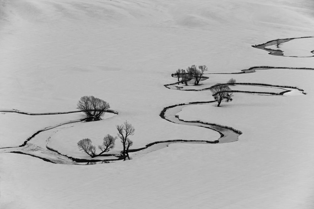 Photograph by aliasadi