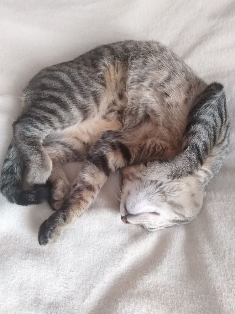 Photograph by Елена Малкова