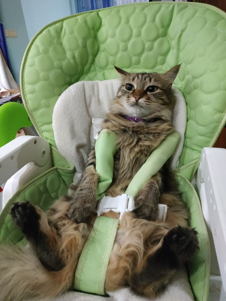 Фотография автора Александр Довганюк