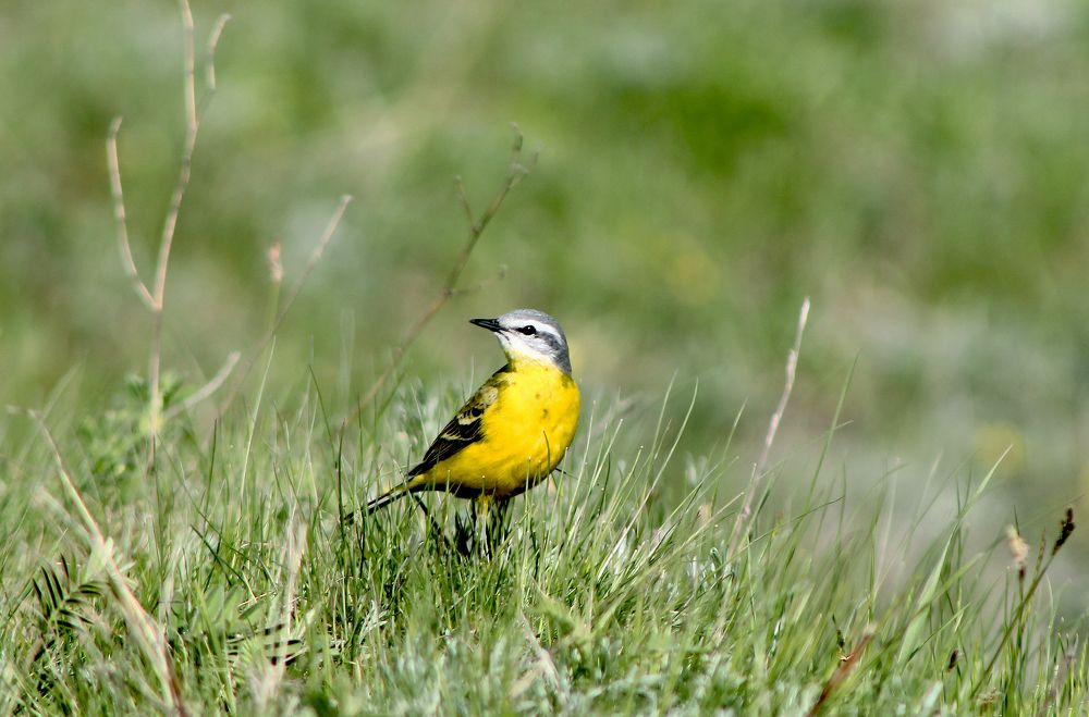 Photograph by Владимир Полотов