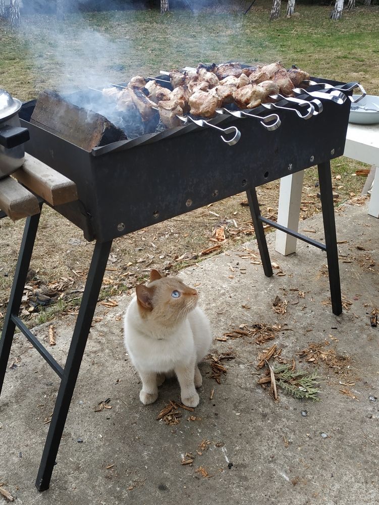 Фотография автора Александр Довганюк