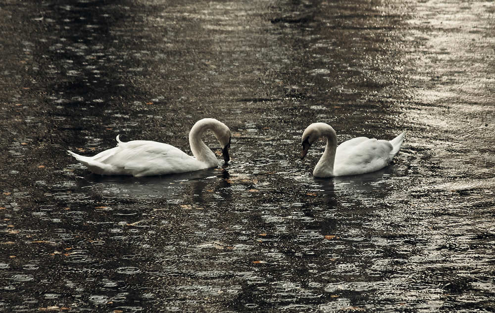 Photograph by Ольга Филатова