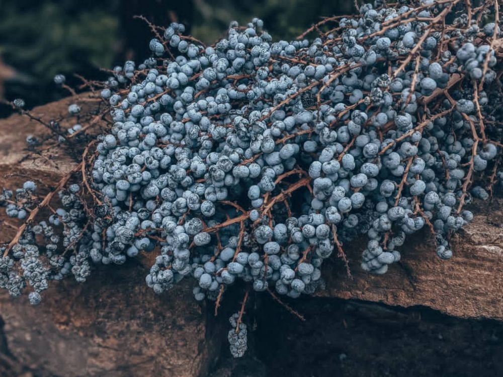 Photograph by Дарья Макаревич