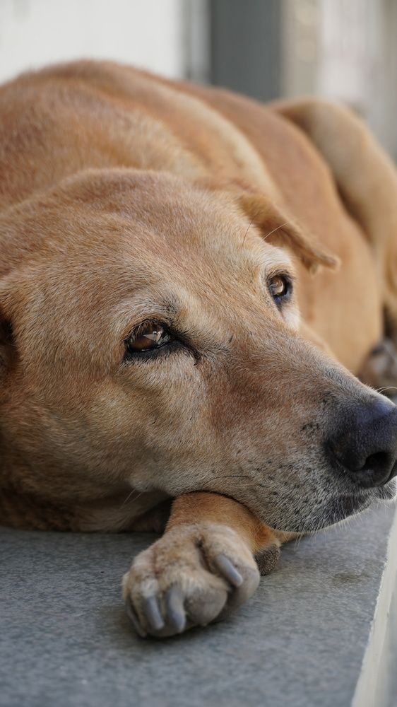 Photograph by Rudra Patel