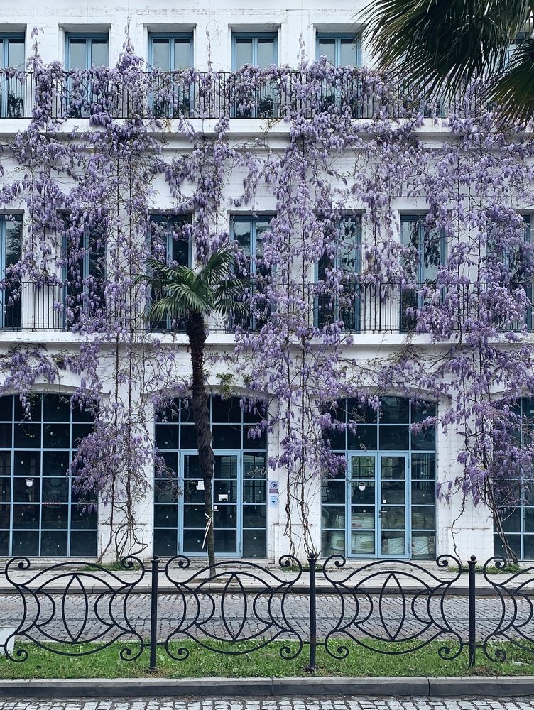 Photograph by Uliana Volegova