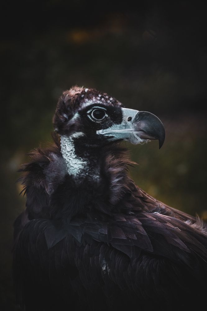 Photograph by Александр Шинкаревский