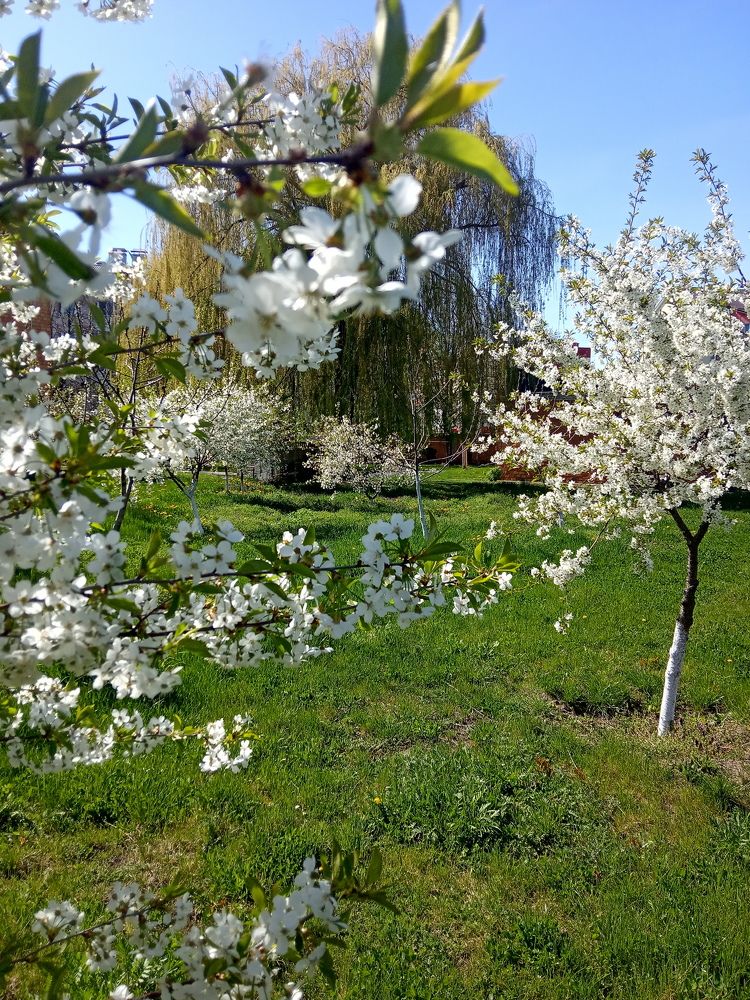 Фотография автора Наталья Изотова