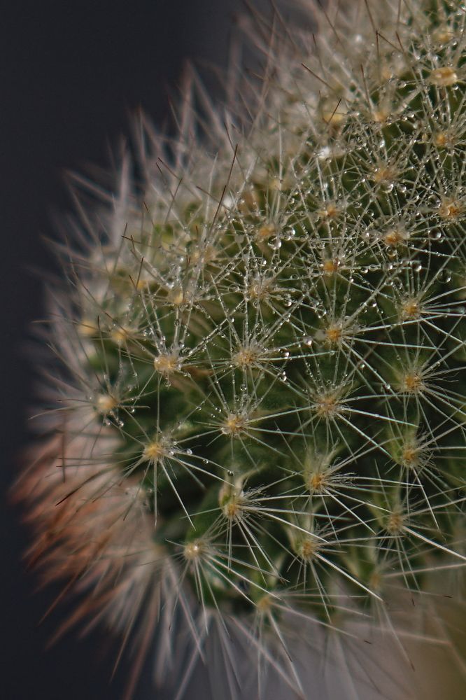 Photograph by Viktoria Vavilkina