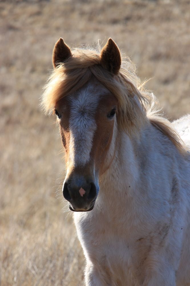 Фотография автора Александр Довганюк