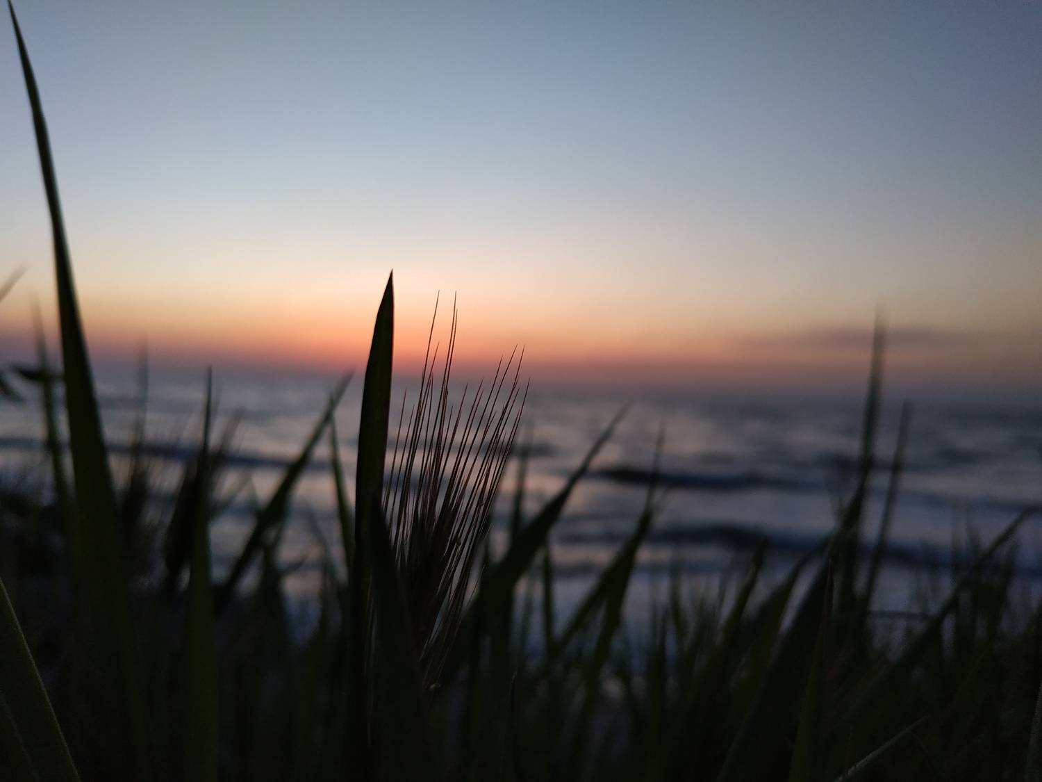 Photo #7547761