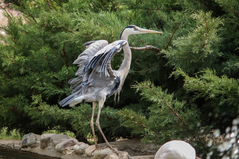 Фотография автора Vahid Basiri